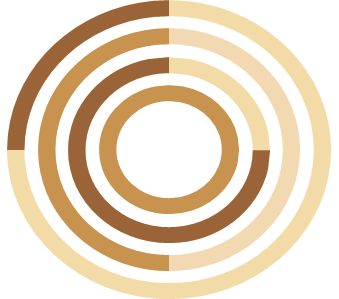 N-EPSILON Logo